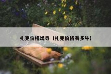 扎克伯格出身（扎克伯格有多牛）