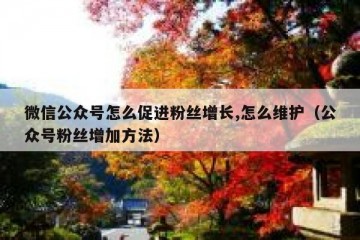 微信公众号怎么促进粉丝增长,怎么维护（公众号粉丝增加方法）