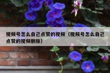视频号怎么自己点赞的视频（视频号怎么自己点赞的视频删除）