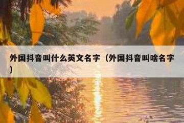外国抖音叫什么英文名字（外国抖音叫啥名字）