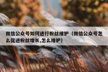 微信公众号如何进行粉丝维护（微信公众号怎么促进粉丝增长,怎么维护）