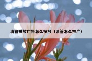 油管投放广告怎么投放（油管怎么推广）