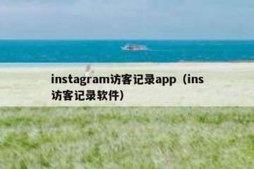 instagram访客记录app（ins访客记录软件）
