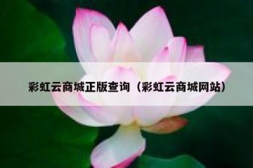 彩虹云商城正版查询（彩虹云商城网站）