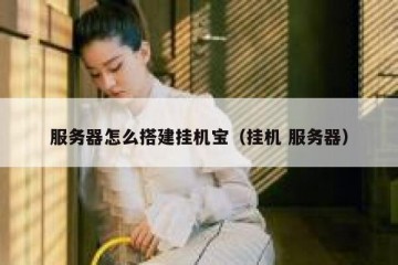 服务器怎么搭建挂机宝（挂机 服务器）