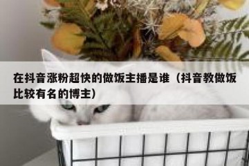 在抖音涨粉超快的做饭主播是谁（抖音教做饭比较有名的博主）