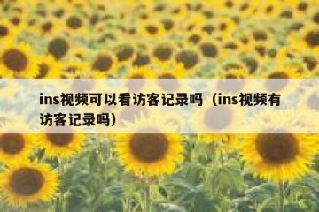 ins视频可以看访客记录吗（ins视频有访客记录吗）