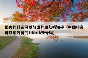 国内的抖音可以加国外朋友吗知乎（中国抖音可以加外国的tiktok账号吗）