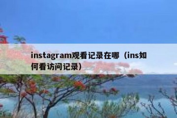 instagram观看记录在哪（ins如何看访问记录）