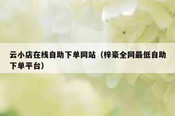 云小店在线自助下单网站（梓豪全网最低自助下单平台）
