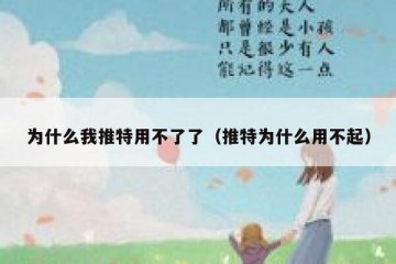 为什么我推特用不了了（推特为什么用不起）