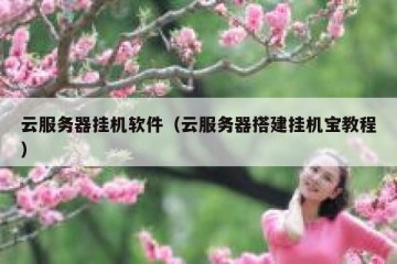 云服务器挂机软件（云服务器搭建挂机宝教程）