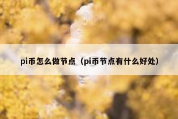 pi币怎么做节点（pi币节点有什么好处）