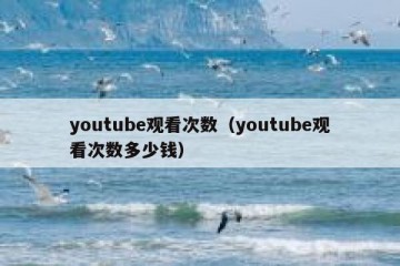 youtube观看次数（youtube观看次数多少钱）