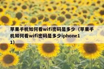 苹果手机如何看wifi密码是多少（苹果手机如何看wifi密码是多少iphone11）