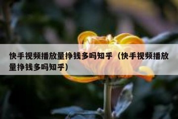 快手视频播放量挣钱多吗知乎（快手视频播放量挣钱多吗知乎）