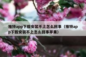 推特app下载安装不上怎么回事（推特app下载安装不上怎么回事苹果）