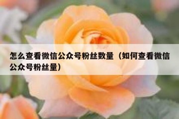 怎么查看微信公众号粉丝数量（如何查看微信公众号粉丝量）