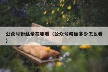 公众号粉丝量在哪看（公众号粉丝多少怎么看）