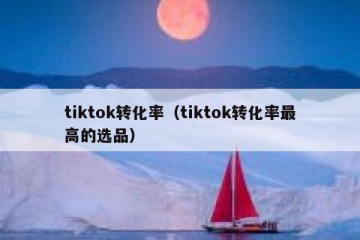 tiktok转化率（tiktok转化率最高的选品）