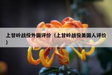 上甘岭战役外国评价（上甘岭战役美国人评价）