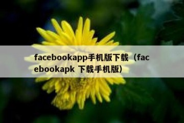 facebookapp手机版下载（facebookapk 下载手机版）