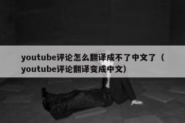youtube评论怎么翻译成不了中文了（youtube评论翻译变成中文）