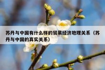 苏丹与中国有什么样的贸易经济地理关系（苏丹与中国的真实关系）