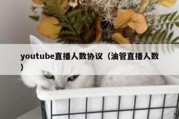 youtube直播人数协议（油管直播人数）