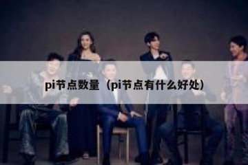 pi节点数量（pi节点有什么好处）
