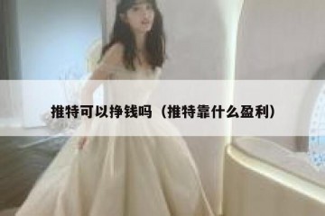 推特可以挣钱吗（推特靠什么盈利）
