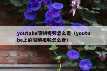 youtube限制视频怎么看（youtube上的限制视频怎么看）