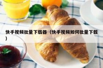 快手视频批量下载器（快手视频如何批量下载）