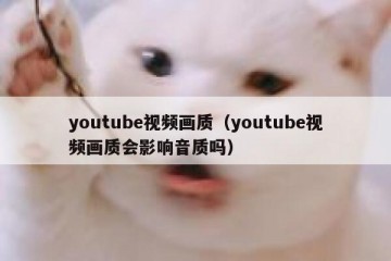 youtube视频画质（youtube视频画质会影响音质吗）