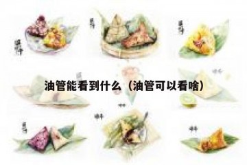 油管能看到什么（油管可以看啥）