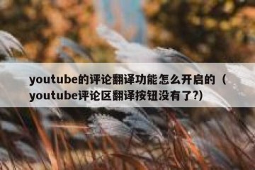 youtube的评论翻译功能怎么开启的（youtube评论区翻译按钮没有了?）