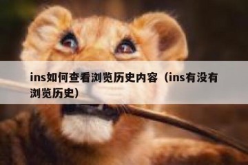 ins如何查看浏览历史内容（ins有没有浏览历史）