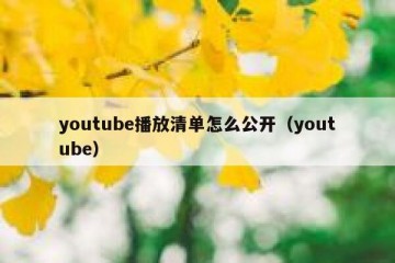 youtube播放清单怎么公开（youtube）
