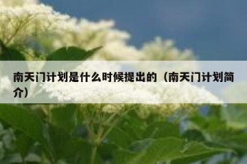 南天门计划是什么时候提出的（南天门计划简介）