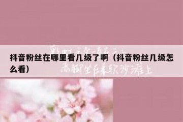 抖音粉丝在哪里看几级了啊（抖音粉丝几级怎么看）