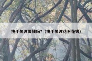 快手关注要钱吗?（快手关注花不花钱）