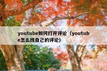 youtube如何打开评论（youtube怎么找自己的评论）