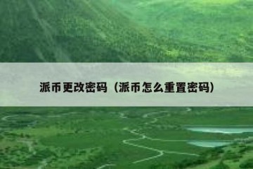派币更改密码（派币怎么重置密码）