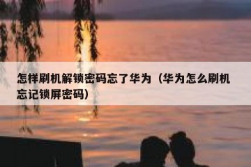怎样刷机解锁密码忘了华为（华为怎么刷机 忘记锁屏密码）