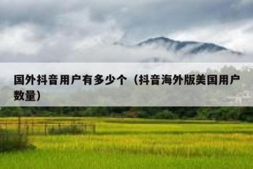 国外抖音用户有多少个（抖音海外版美国用户数量）