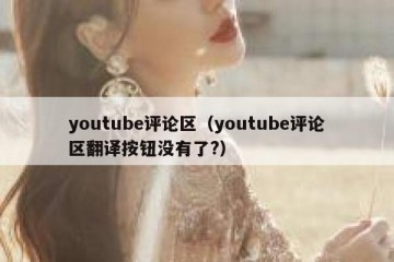 youtube评论区（youtube评论区翻译按钮没有了?）