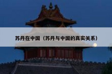 苏丹在中国（苏丹与中国的真实关系）