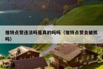 推特点赞违法吗是真的吗吗（推特点赞会被抓吗）