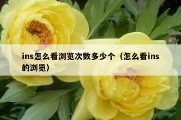 ins怎么看浏览次数多少个（怎么看ins的浏览）