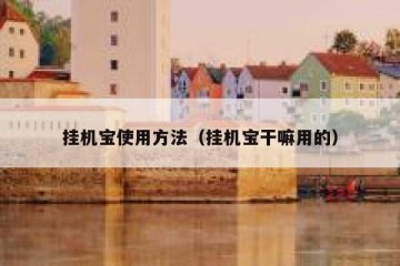 挂机宝使用方法（挂机宝干嘛用的）